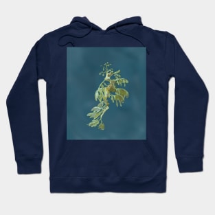 Sea Dragon Hoodie